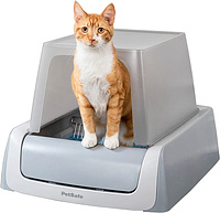 A cat peering out of a litter box.